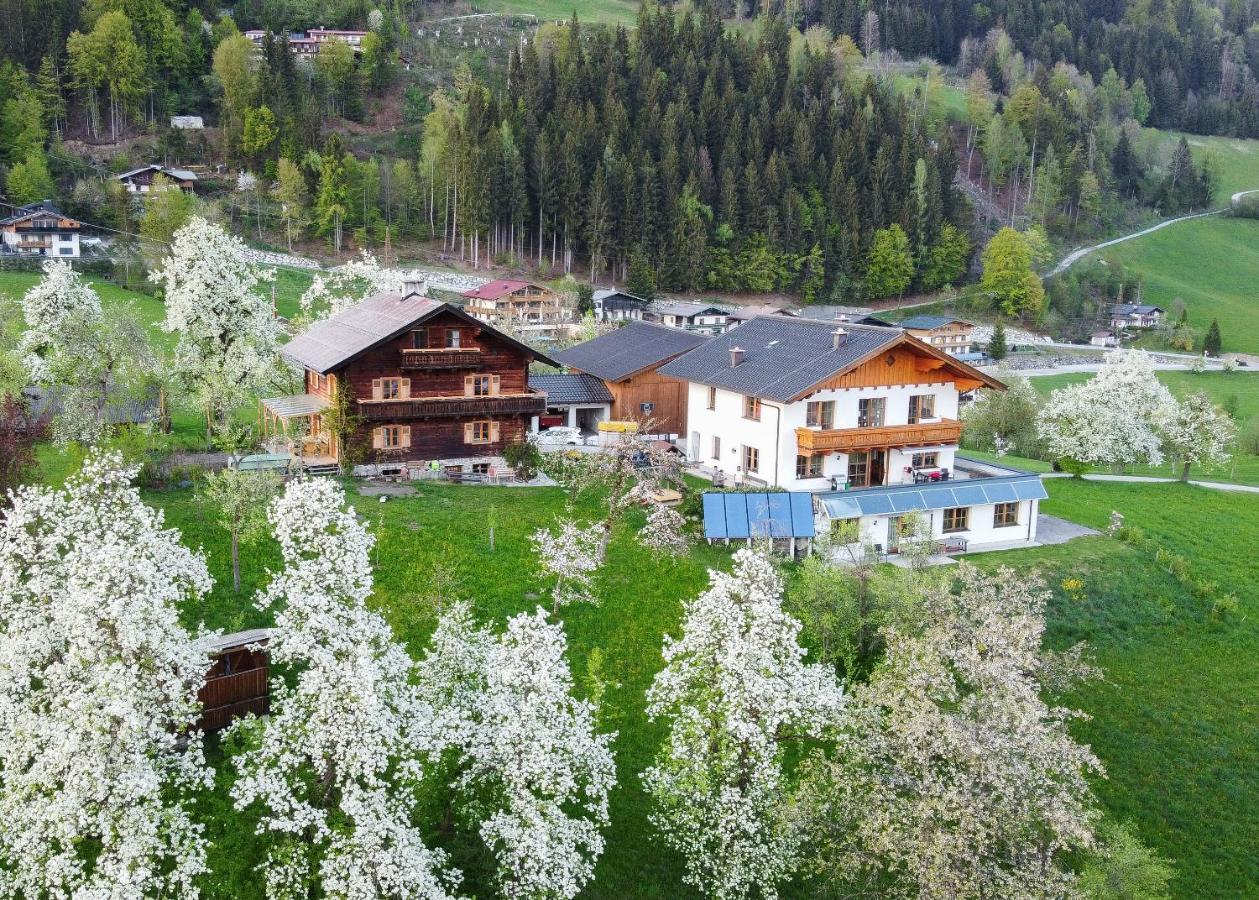 Ferienhaus Bognerhof Sankt Veit im Pongau Exterior foto